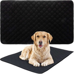 Produktbild von Purlov Hundetoilette Hunde Saugmatte 50x70cm