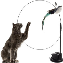 Produktbild von Purlov Interaktives Katzenspielzeug Vogel mit Saugnapf
