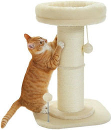 Produktbild von Purpurra Kratzbaum Extra-Dick Kleiner Kratzstamm ⌀ 14 cm, 60 cm