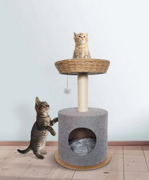 Produktbild von Purpurra Kratzbaum mit Höhle, Schlafkorb und Spielball