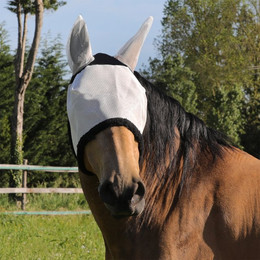 Produktbild von PVC-Fliegenhaube für Pferde mit Ohrenbedeckung und Klettverschluss Umbria Equitazione