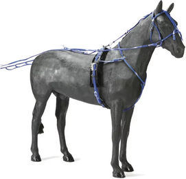 Produktbild von Pvc-Schnellkupplungsgeschirr Daslö Trot