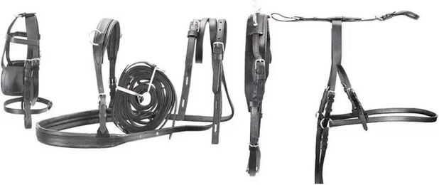 Produktbild von Pvc-Schnellkupplungsgeschirr Daslö Trot