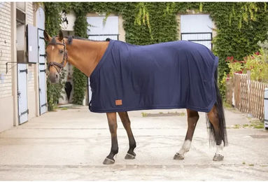 Produktbild von Paddock Sports Abschwitzdecke für Pferde aus Nylon in Blau