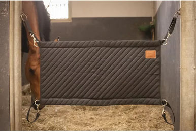 Produktbild von Paddock Sports Boxentür aus Polyester in Blau und Schwarz