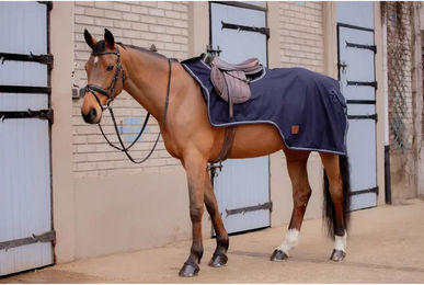 Produktbild von Paddock Sports Classic Rain Nierendecke für Pferde aus Polyester 198 cm Schwarz Blau