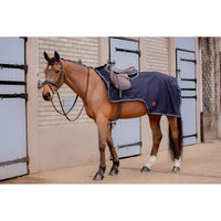 Produktbild von Paddock Sports Classic Rain Nierendecke für Pferde aus Polyester in Schwarz oder Blau