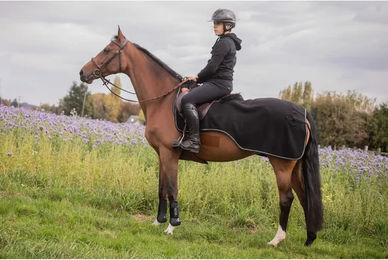 Produktbild von Paddock Sports Fleece-Nierenabdeckung für Pferde in Schwarz-Silber aus Polyester