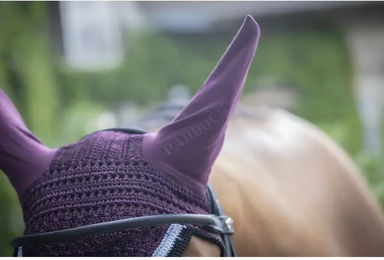 Produktbild von Paddock Sports Fliegenhaube für Pferde Lila