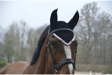 Produktbild von Paddock Sports Fliegenhaube für Pferde Schwarz