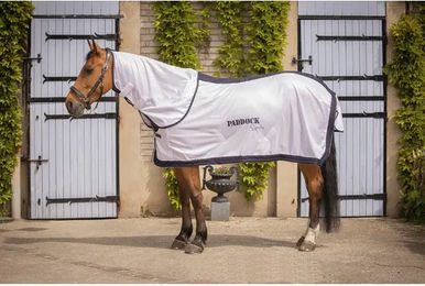 Produktbild von Paddock Sports Fliegenschutz-UV-Shirt für Pferde aus Polyester