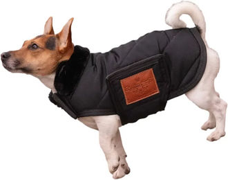 Produktbild von Paddock Sports Hundedecke Diagonal