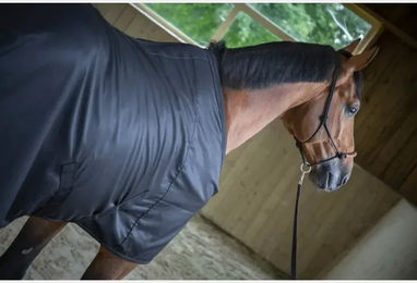 Produktbild von Paddock Sports Light Mesh Pferdedecke in Schwarz