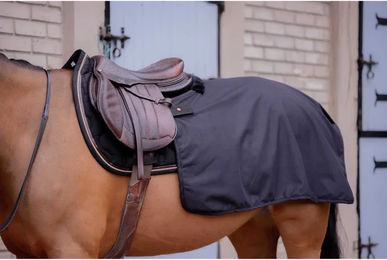 Paddock Sports Nierendecke für Pferde Quarter Classic Rain – Bild 1 von 1
