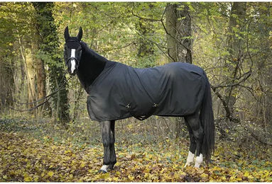 Produktbild von Paddock Sports Pferdedecke aus Nylon in Schwarz