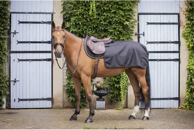 Produktbild von Paddock Sports Quarter Classic Nierendecke für Pferde in Schwarz oder Blau aus Polyester