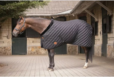 Paddock Sports Stalldecke für Pferde aus Polyester und Fleece in Schwarz 400g – Bild 1 von 1