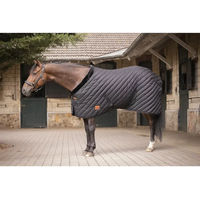 Produktbild von Paddock Sports Stalldecke für Pferde aus Polyester und Fleece in Schwarz 400g