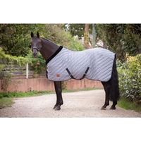Produktbild von Paddock Sports Stalldecke für Pferde Grau 200g