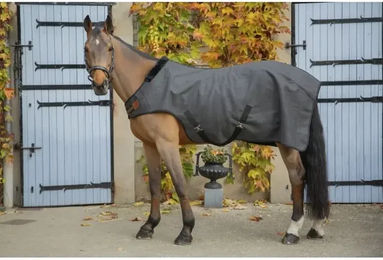 Produktbild von Paddock Sports Walkertouch Führzügeldecke für Pferde aus Polyester