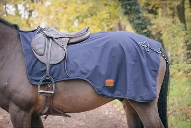 Produktbild von Paddock Sports Wasserdichte Nierendecke für Pferde aus Polyester