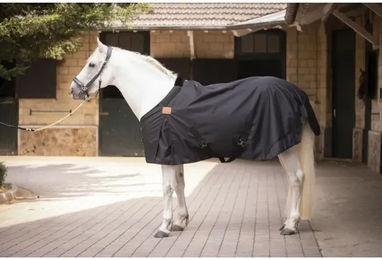 Produktbild von Paddock Sports Wasserdichte Outdoor-Decke für Pferde aus Polyester