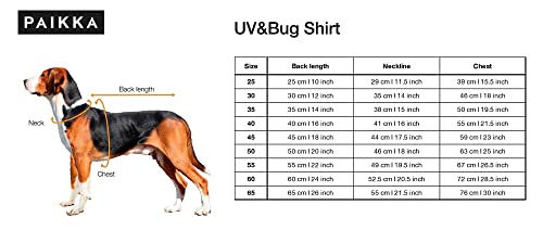 PAIKKA Cool & Bug Kühlweste für Hunde mit Antiparasit-Schutz Repeltec Medium – Bild 1 von 2