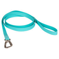 Produktbild von PAIKKA Glow Leash Hundeleine aus Polyester in Türkis 180 cm x 20 mm - 180 cm