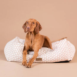 Produktbild von PAIKKA Hundebett Treasure Rosa 110 cm x 80 cm aus Polyester