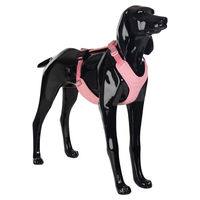 Produktbild von PAIKKA Hundegeschirr Visibility Harness reflektierend Rosa Größe M