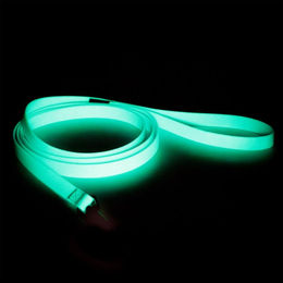 Paikka Hundeleine Glow Aqua aus Polyester 180 cm - 180 cm – Bild 1 von 2