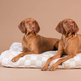 Produktbild von PAIKKA Hundematratze Hundekissen beige kariert 125 cm x 80 cm