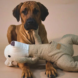Produktbild von PAIKKA Hundespielzeug Känguru Intelligenzspielzeug aus Stoff in Beige Größe Groß