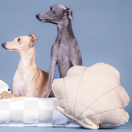 PAIKKA Hundespielzeug Schatzmuschel aus Stoff Intelligenzspielzeug Beige – Bild 1 von 2