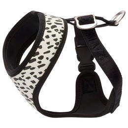 Produktbild von PAIKKA Mesh Harness 2.0 Hundegeschirr aus Nylon in Bunt Größe XXXS