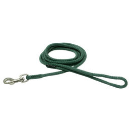 Produktbild von PAIKKA Visibility Rope Leash Hundeleine aus Nylon in Emerald