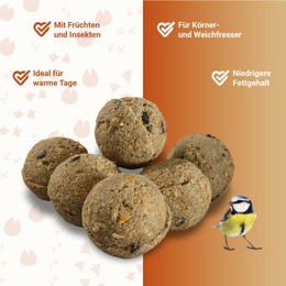 Panto Ganzjahresknödel Ergänzungsfutter für Wildvögel wie Meisen und Spatzen 100er Packung - 9 kg – Bild 1 von 2