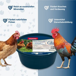 PANTO Karat Ö Mineral Pickstein für Hühner 10kg - 10 kg – Bild 1 von 5
