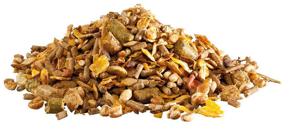 PANTO Pferdefutter Seniormüsli mit Wisan-Lein für Senior Pferde 20 kg - 20 kg – Bild 1 von 7