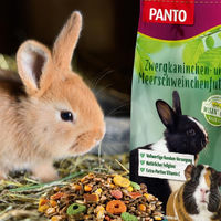 Produktbild von PANTO Zwergkaninchenfutter Hauptfutter 1 kg