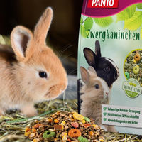 Produktbild von PANTO Zwergkaninchenfutter Hauptfutter ohne tierisches Protein 1 kg