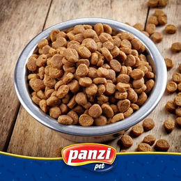 Panzi Pet Hundefutter Adult Rind 17kg – Bild 1 von 2