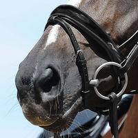 Produktbild von Passier Anatomischer Wechselnasenriemen Reithalfter Spezial aus Lackleder in Schwarz für Warmblut
