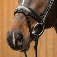 Produktbild von Passier Anatomischer Wechselnasenriemen Reithalfter Spezial aus Leder für Warmblut in Schwarz mit Silber