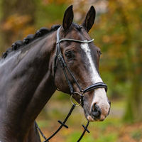 Produktbild von Passier Confidence Trense aus Leder mit Kristallen für Warmblut in Schwarz - 1 Stk.