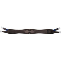 Produktbild von Passier Dynamic Ledersattelgurt aus Leder für Pferde in Schwarz oder Braun