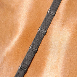 Passier Gurtzügel mit doppelten Lederstegen aus Leder in Schwarz für Warmblut – Bild 1 von 2