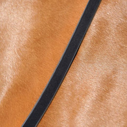 Produktbild von Passier Kandarenzügel zum Knöpfen aus Leder in Schwarz für Warmblut