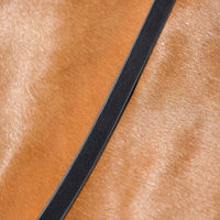 Produktbild von Passier Kandarenzügel zum Knöpfen aus Leder in Schwarz für Warmblut