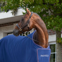 Passier Lederstallhalfter unterfüttert für Warmblut in Braun oder Schwarz – Bild 1 von 2